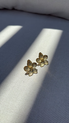 Boucles d'oreilles iara