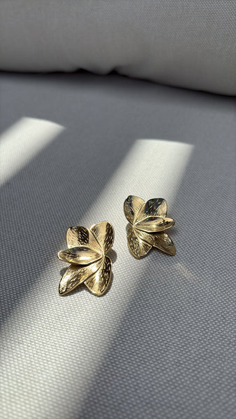 Boucles d’oreilles anahi