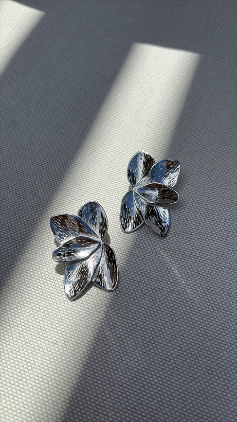 Boucles d&#39;oreilles