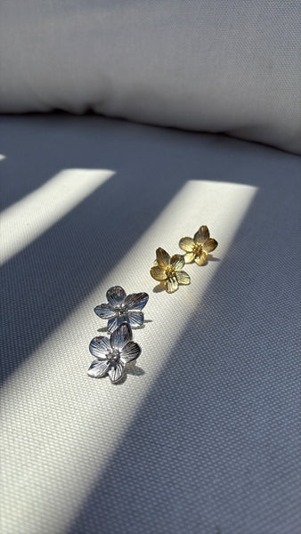 Boucles d'oreilles iara